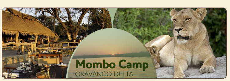 Mombo camp okavango delta