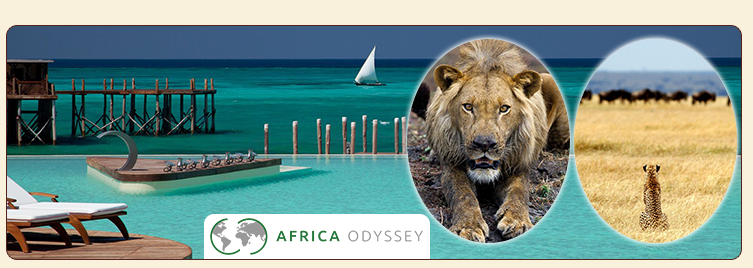 Africa Odyssey | Tanzania tour, safari company