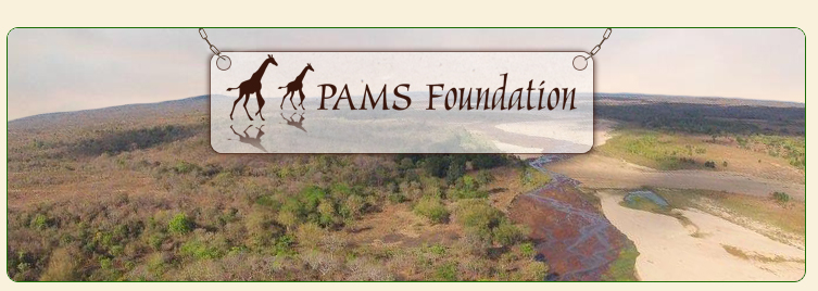 PAMS Foundation